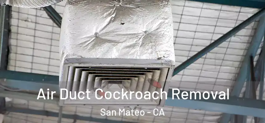 Air Duct Cockroach Removal San Mateo - CA