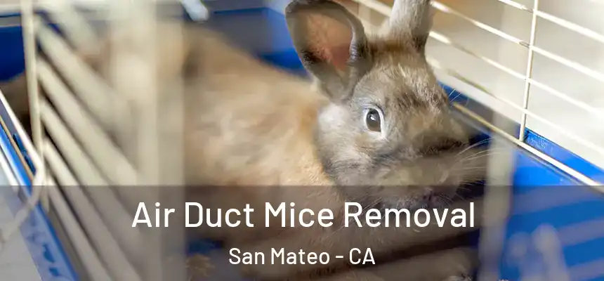 Air Duct Mice Removal San Mateo - CA