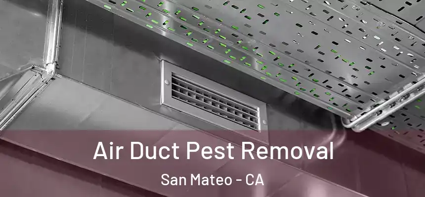 Air Duct Pest Removal San Mateo - CA