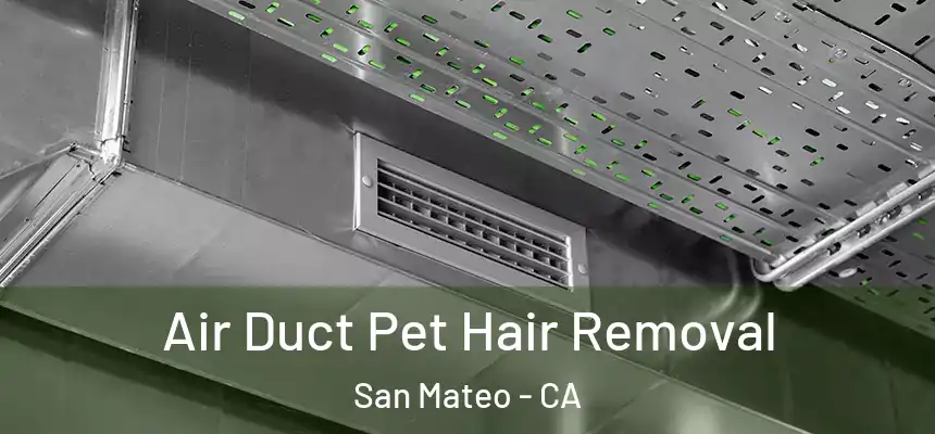Air Duct Pet Hair Removal San Mateo - CA