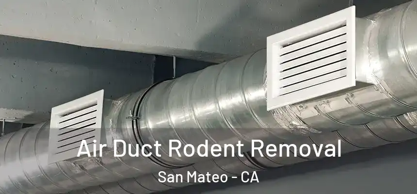 Air Duct Rodent Removal San Mateo - CA