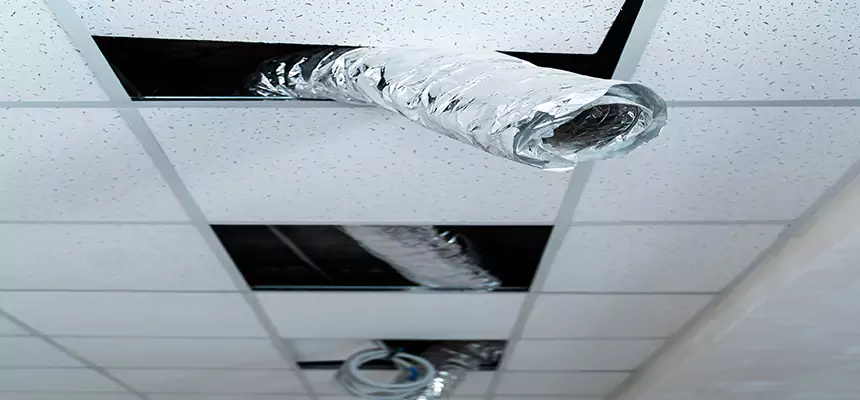 Affordable HVAC Sanitizing After Pest Removal in San Mateo