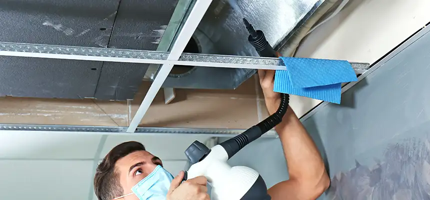 Our Air Duct Rodent Removal Services in San Mateo, CA