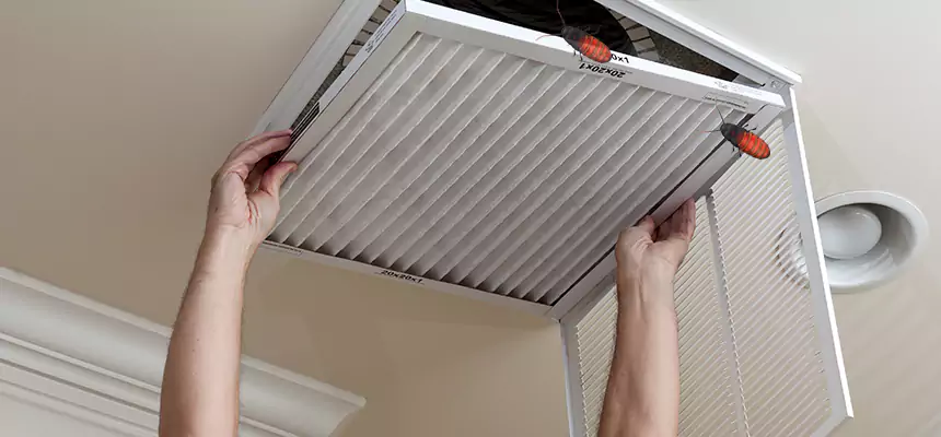Our Insect Removal from Air Ducts Services in San Mateo, CA