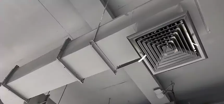 Our Pest Removal From Ducts Services in San Mateo, CA