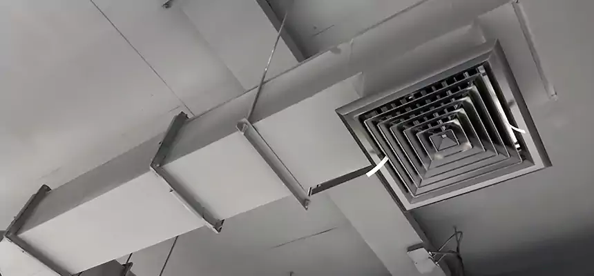 Our Rodent Droppings In Vents Services in San Mateo, CA