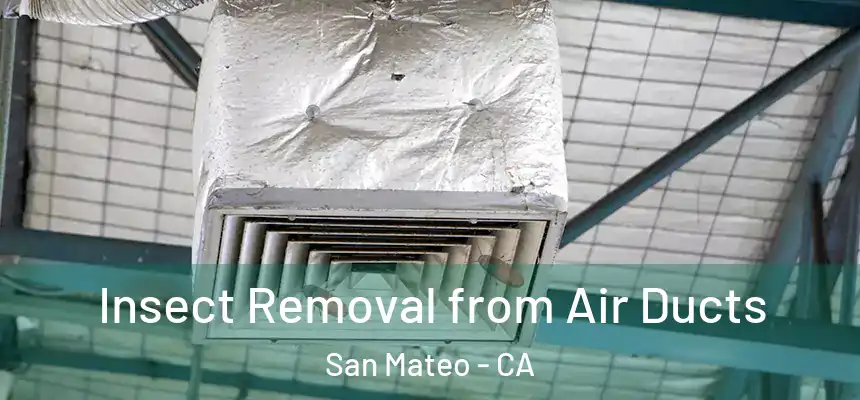 Insect Removal from Air Ducts San Mateo - CA
