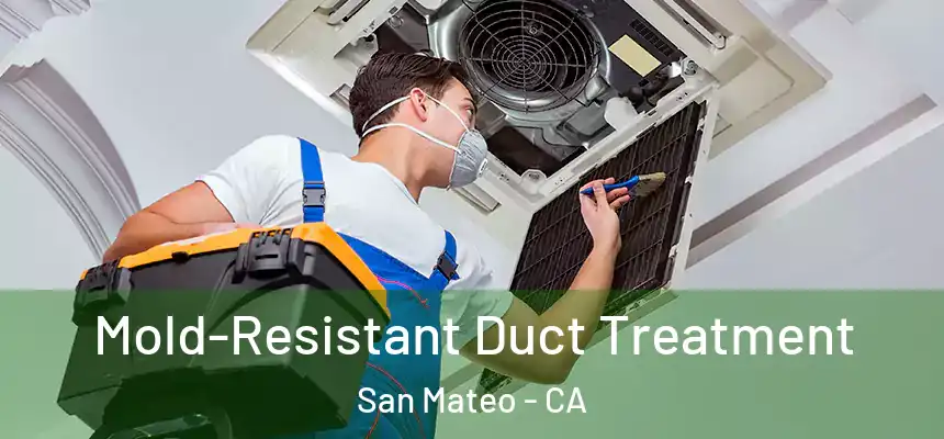 Mold-Resistant Duct Treatment San Mateo - CA