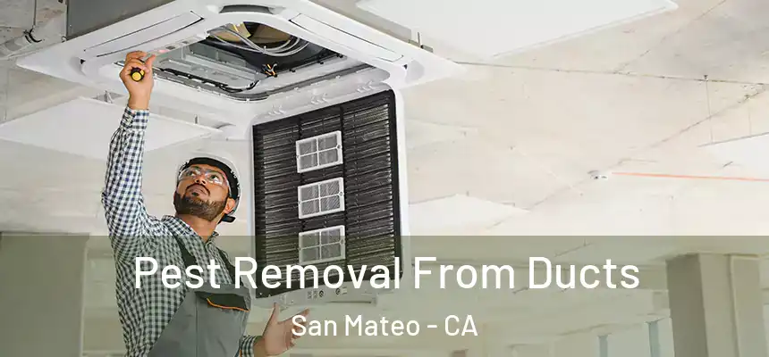 Pest Removal From Ducts San Mateo - CA