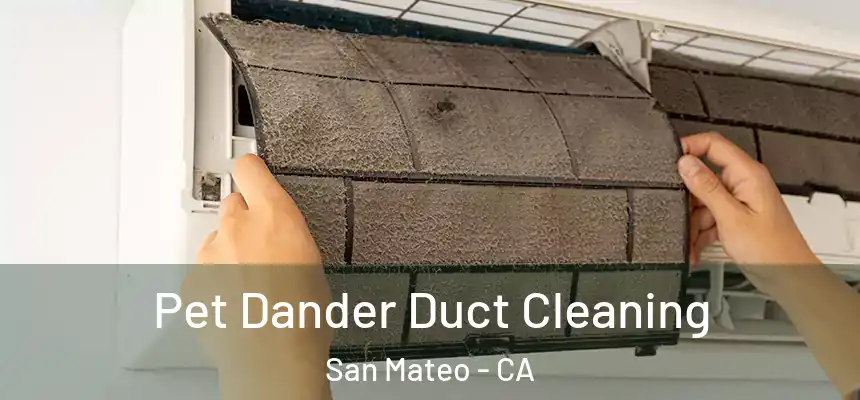 Pet Dander Duct Cleaning San Mateo - CA