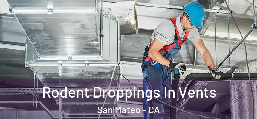 Rodent Droppings In Vents San Mateo - CA