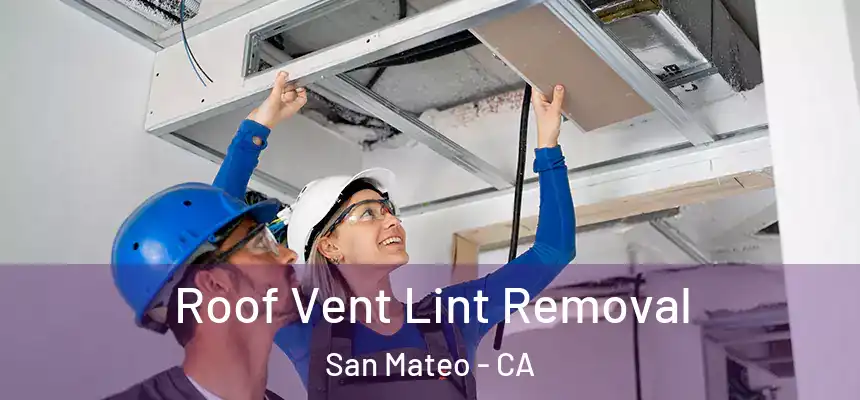 Roof Vent Lint Removal San Mateo - CA