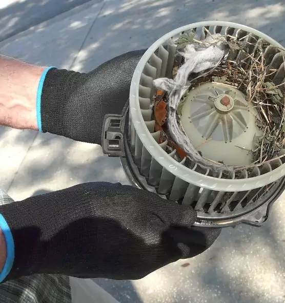About Air Duct Mice Removal in San Mateo, CA