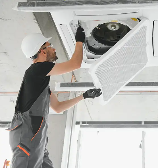 About Air Duct Rodent Removal in San Mateo, CA