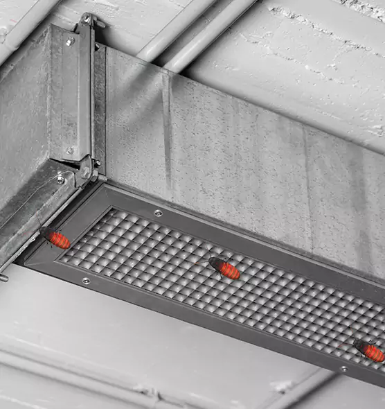 Affordable Insect Removal from Air Ducts in San Mateo, CA