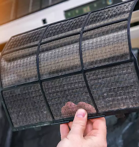 About Pet Dander Duct Cleaning in San Mateo, CA